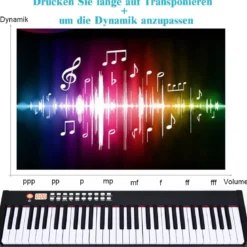 61 gewichtete Tastatur digitale Keyboard elektrisches Klavier 90 x 21 x 6 cm Schwarz