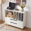 Plattenspieler-Ständer mit 4 Vinyl-Fächern & 2 Schubladen Retro Vinyl Halterung Weiß