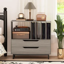 Plattenspieler-Ständer mit 4 Vinyl-Fächern & 2 Schubladen Retro Vinyl Halterung Grau