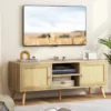 Rattan TV-Schrank mit 2 Türen & Offenen Fächern für Fernseher bis zu 55 Zoll 120 x 40 x 48,5 cm