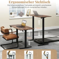 120 x 60 cm Höhenverstellbarer Schreibtisch mit Haken Elektrischer Stehschreibtisch Rustikales Braun