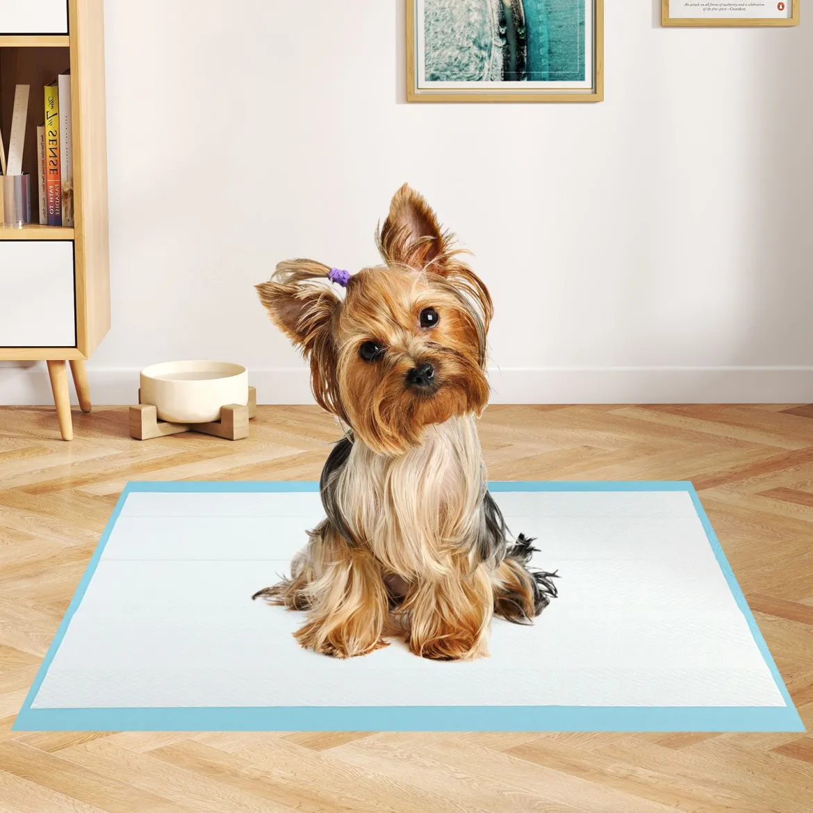 60 x 43 cm (300 Stück) 6-lagige auslaufsichere Haustierpads für Stubenreinheitstraining super absorbierend